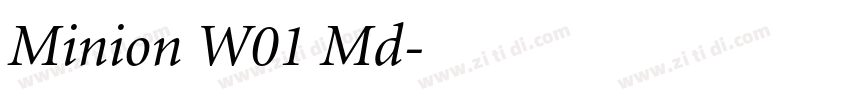 Minion W01 Md字体转换